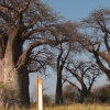 Zdjęcie z Namibii - Botswana