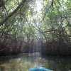 Zdjęcie ze Sri Lanki - Madu River