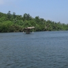 Zdjęcie ze Sri Lanki - Madu River