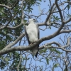 Zdjęcie ze Sri Lanki - Madu River