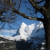 Zdjęcie ze Szwajcarii - Murren