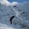 Zdjęcie ze Szwajcarii - Kleine Scheidegg