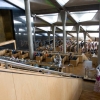 Zdjęcie z Egiptu - Biblioteka