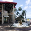 Zdjęcie z Brytyjskich Wysp Dziewiczych - Grand Cayman