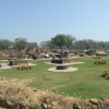 Zdjęcie z Indii - ruiny klasztoru