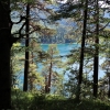 Zdjęcie z Niemiec - Alpsee - jezioro niedaleko zamku Neuschwanstein