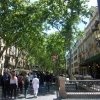 Zdjęcie z Hiszpanii - Barcelona