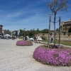 Zdjęcie z Hiszpanii - Palma de Mallorca