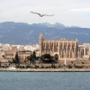 Zdjęcie z Hiszpanii - Palma de Mallorca