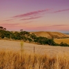 Zdjęcie z Australii - Wracamy do Adelajdy