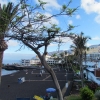 Zdjęcie z Hiszpanii - Playa de la Arena