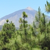 Zdjęcie z Hiszpanii - W drodze do P.N.Teide