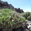 Zdjęcie z Hiszpanii - P.N. Teide