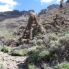 Zdjęcie z Hiszpanii - P.N. Teide