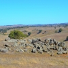 Zdjęcie z Australii - W drodze z Meadows do Strathalbyn