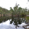 Zdjęcie z Australii - Jeziorko Playford Lake w Belair NP