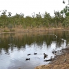 Zdjęcie z Australii - Jeziorko Playford Lake