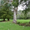 Zdjęcie z Australii - Park Narodowy Belair