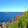 Zdjęcie z Australii - Port Elliot