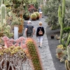 Zdjęcie z Hiszpanii - Spacer wśród kaktusów - Jardin de Cactus.