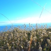 Zdjęcie z Australii - Rezerwat Geologiczny Hallett Cove