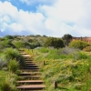 Zdjęcie z Australii - Rezerwat Geologiczny Hallett Cove