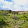 Zdjęcie z Australii - Rezerwat Geologiczny Hallett Cove