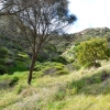 Zdjęcie z Australii - Rezerwat Geologiczny Hallett Cove