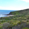 Zdjęcie z Australii - Rezerwat Geologiczny Hallett Cove