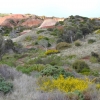 Zdjęcie z Australii - Rezerwat Geologiczny Hallett Cove