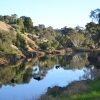 Zdjęcie z Australii - Rzeka Onkaparinga w Old Noarlunga