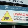 Zdjęcie z Polski - Muczne - atmosfera się podkręca...