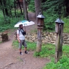 Zdjęcie z Polski - Skansen w Sanoku.
