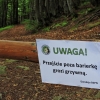 Zdjęcie z Polski - Nie żartuj sobie w Bieszczadach!