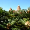 Zdjęcie z Hiszpanii - Siam Park