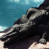 Zdjęcie z Hiszpanii - Siam Park