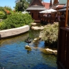 Zdjęcie z Hiszpanii - Siam Park