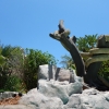 Zdjęcie z Hiszpanii - Siam Park