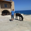 Zdjęcie z Cypru Północnego - Cypr Północny