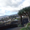 Zdjęcie z Portugalii - Funchal