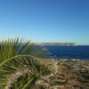 Zdjęcie z Malty - Malta