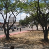 Zdjęcie z Brazylii - Recife