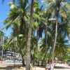 Zdjęcie z Brazylii - Maceió