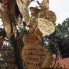 Zdjęcie z Tajlandii - Złote liście z życzeniami