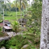 Zdjęcie z Indonezji - Widok ze swiatyni