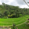 Zdjęcie z Indonezji - Panoramka zrobiona telefonem