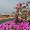 Zdjęcie z Omanu - na Cornichu
