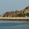 Zdjęcie z Omanu - widoki na nabrzeże Corniche