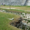 Zdjęcie z Meksyku - mieszkańcy ruin