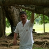 Zdjęcie ze Sri Lanki - Ficus Benjamin cd.